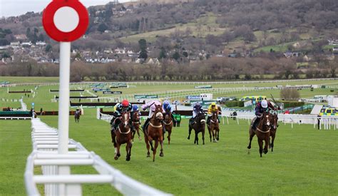 Cheltenham Market Movers – Where is the early money going.